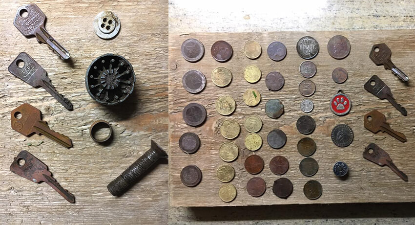 This evening on a local playground