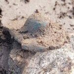 An amazing Bronze Age Sword found by Impact in Denmark - 2