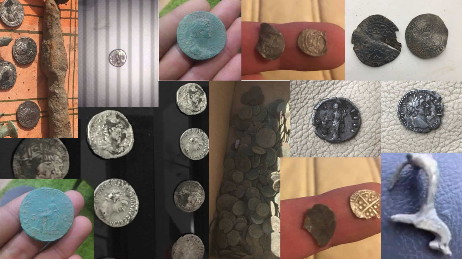 Fabulous Impact Finds!