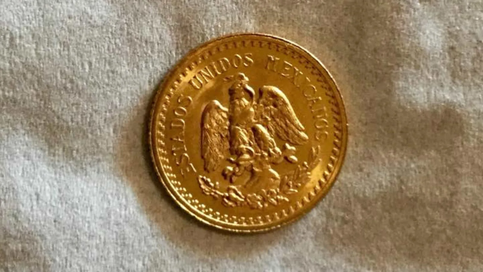 Winning Gold with the Multi Kruzer: Can/Am Hunt Michigan Success Story