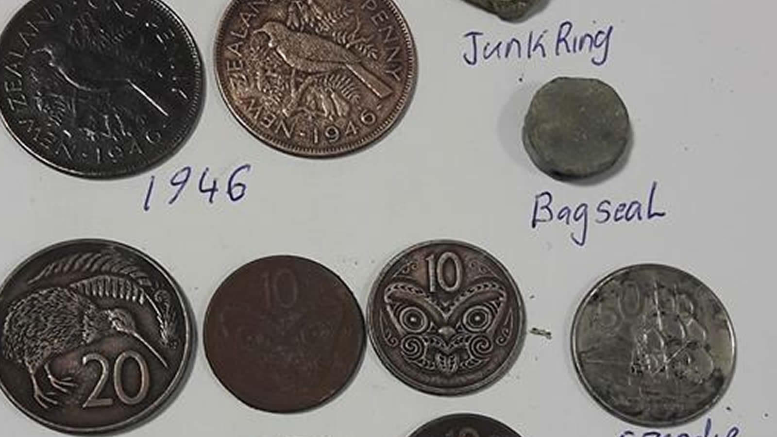 Multi Kruzer For Its First Walk