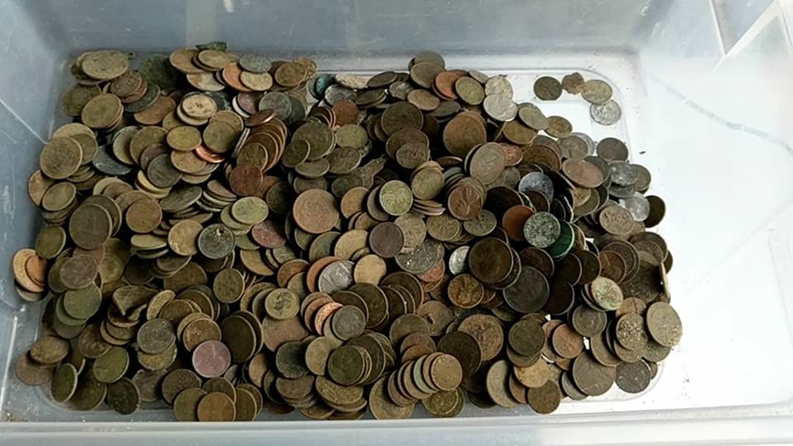 The Impact is a coin monster!