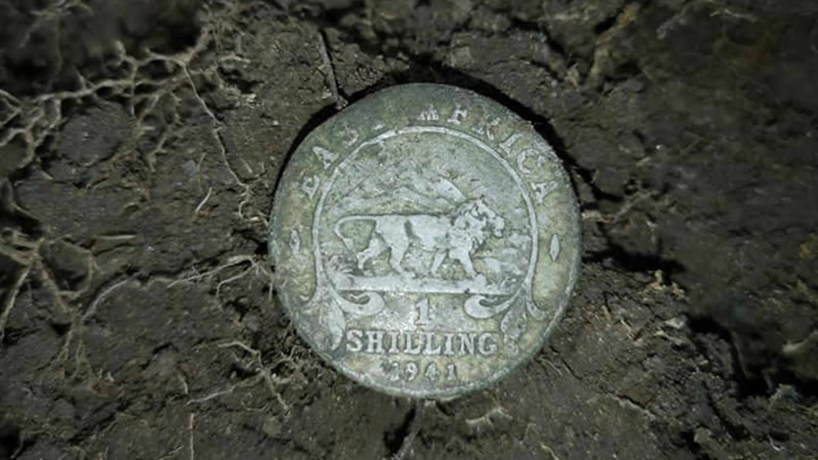Metal Detecting at 95 Gain: Returning to a Hammered Patch