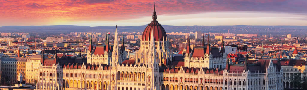 Detect Max Hungary KFT.