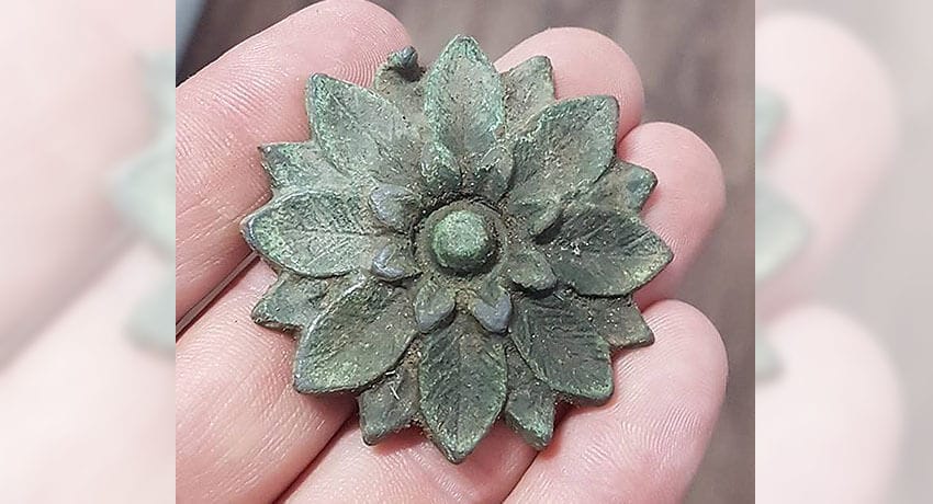 Another Nice Find With The Anfibio