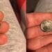 My finds from today’s dig - Cover