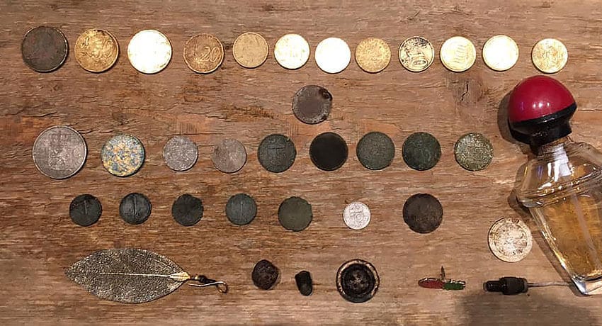 This morning a few hours at a local forrest