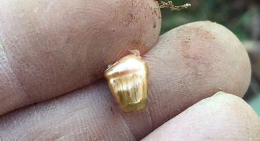 Few Bits And Bobs Today With My Anfibio