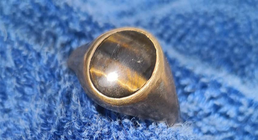 Tidal Pool Treasures: A Weekend Hunt with the Anfibio