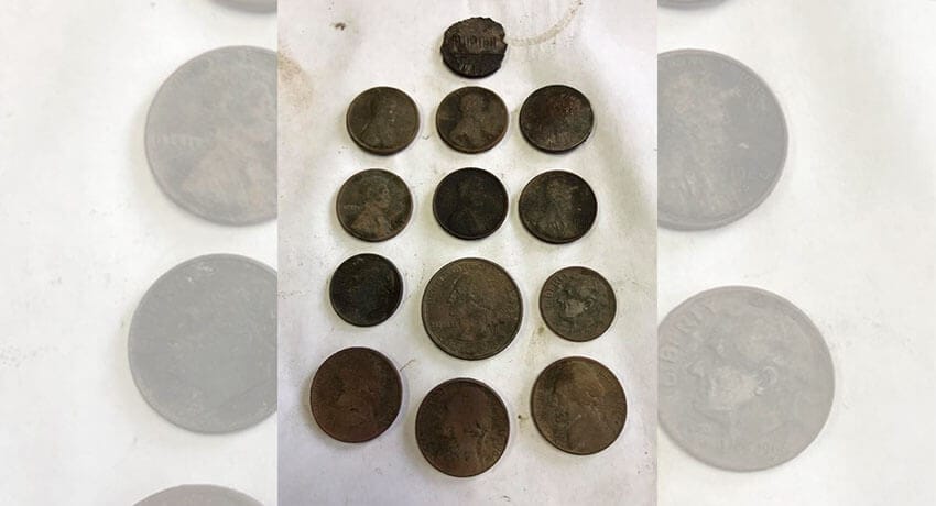 Another Dood Day of Digging