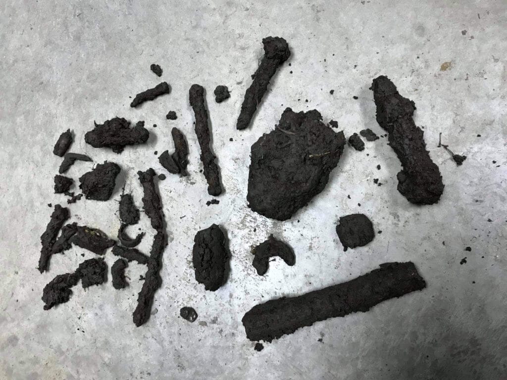 Pulled these out of heavy iron - 7