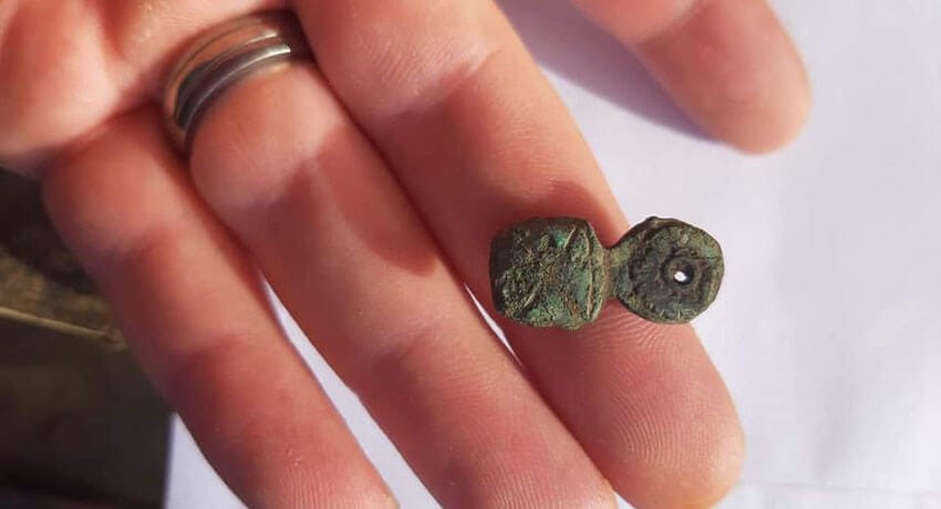 Had This Little Fellow Today