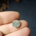 Sniffed Out By The Anfibio Multi In 99 Tone - 3