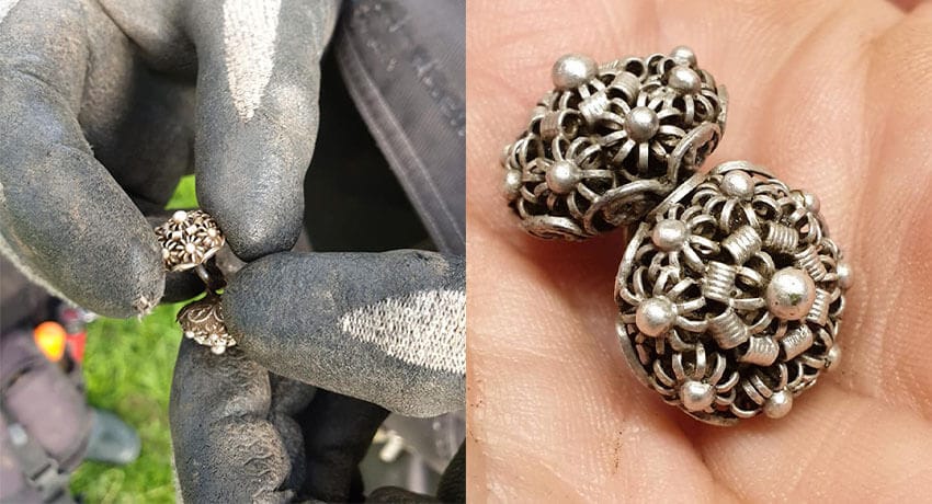 Nice Find Yesterday With My Anfibio