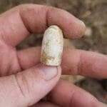 Anfibio Is Killin The Lead - 2