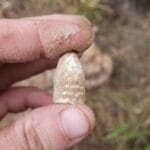 Anfibio Is Killin The Lead - 3