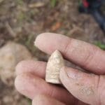 Anfibio Is Killin The Lead - 4