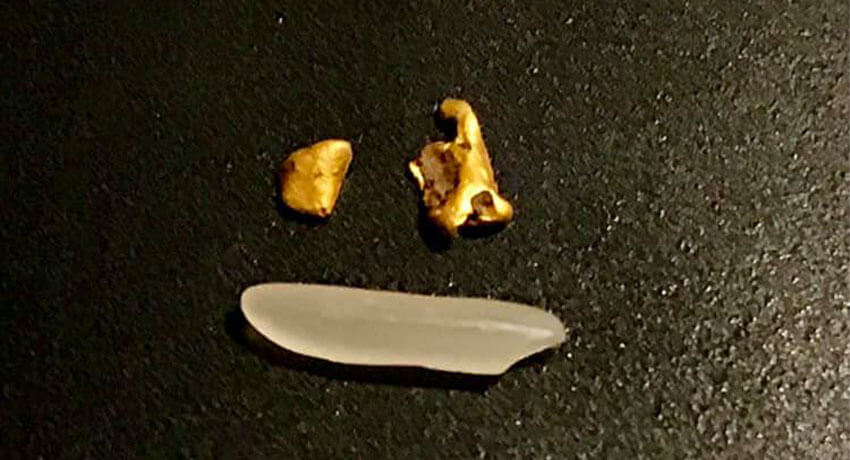 GK19 Had No Trouble Picking