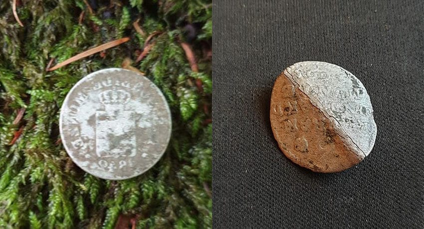 Anfibio Multi Gain 80 / 14kHz / 4 Tone