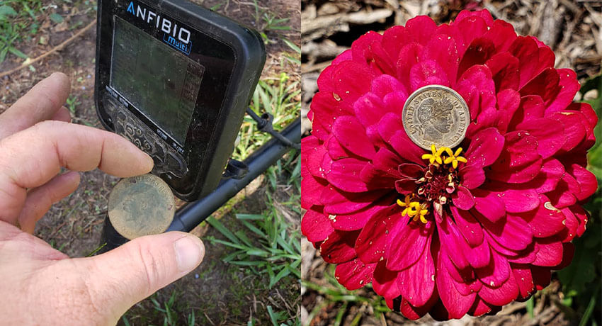 Anfibio 5 Inch Coil Got The Goods Today