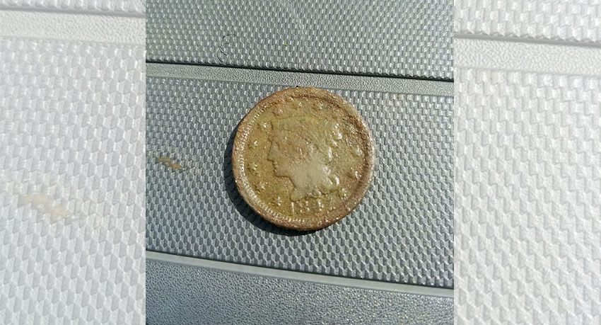1st Large Cent with the Anfibio Multi