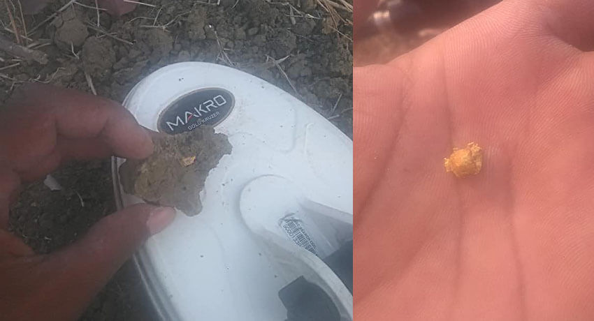 Happy Every Day With Gold Kruzer