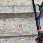 Un Buen Día Con Anfibio - 1