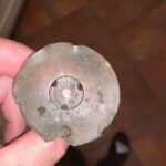 Good 2.5 Hours Hunting - 6