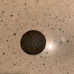 Good 2.5 Hours Hunting - 8