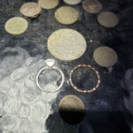Last nights hunt