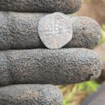 Simplex+ Edward 1st Hammered Coin - 2