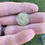 Simplex Found Great Relics And Coins - 5