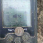 Vespasianus Coin Found With Simplex+ - 2