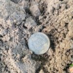 Trovato 1901 Indian Head Penny Today - 1
