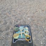 The Legend Detector On The Beach - 1