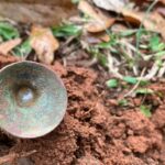 The Things I Find Never Cease To Amaze Me - 1