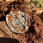 The Things I Find Never Cease To Amaze Me - 3