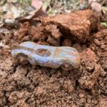 The Things I Find Never Cease To Amaze Me - 4