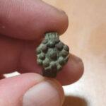 Today I Have Found With Simplex This Ring - 3