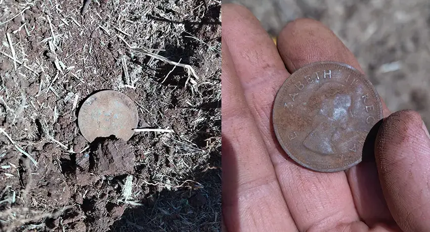 New Piece Of Ground First Find - Cover