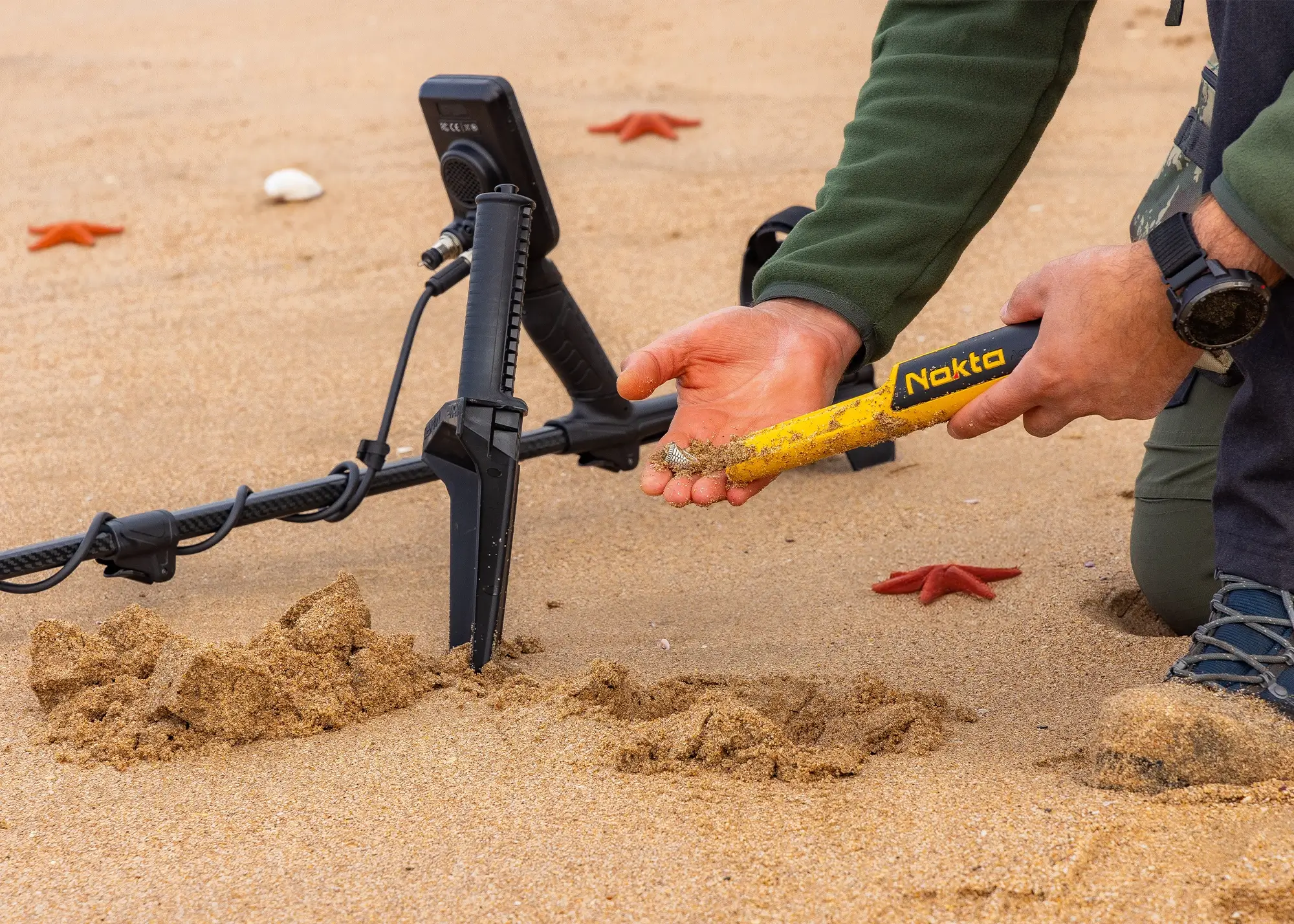 Nokta AccuPOINT Pointer Outdoor Photo - 8