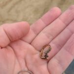 I Found A Beautiful Silver Ring - 3