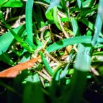 I Would Like Share This With You Guys - 3