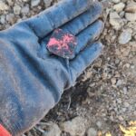 Lunchtime Hunt At An Old Demolished House - 4