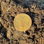 These Are My First Finds With My Legend - 4