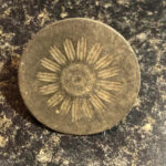 One Of The Best Hunts For Me In A Long Time - 13