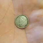 Today's Finds 1833 Capped Bust Half Dime - 1