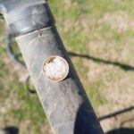Today's Finds 1833 Capped Bust Half Dime - 5