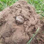 Broke My Silver Drought Today - 1