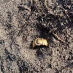 First Gold With The Simplex Metal Detector - 4